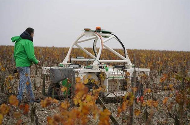 A TED Talk – Robots in the Vineyard